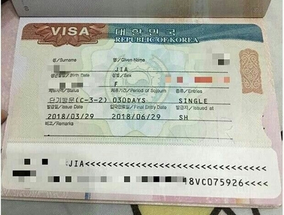 專業解讀 海帶客網4.20-4.22首爾代購之旅的真實體驗與價值分析